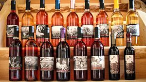 16 Types of Wine